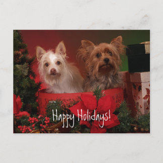 Happy Holidays Yorkie and Friends Holiday Postcard