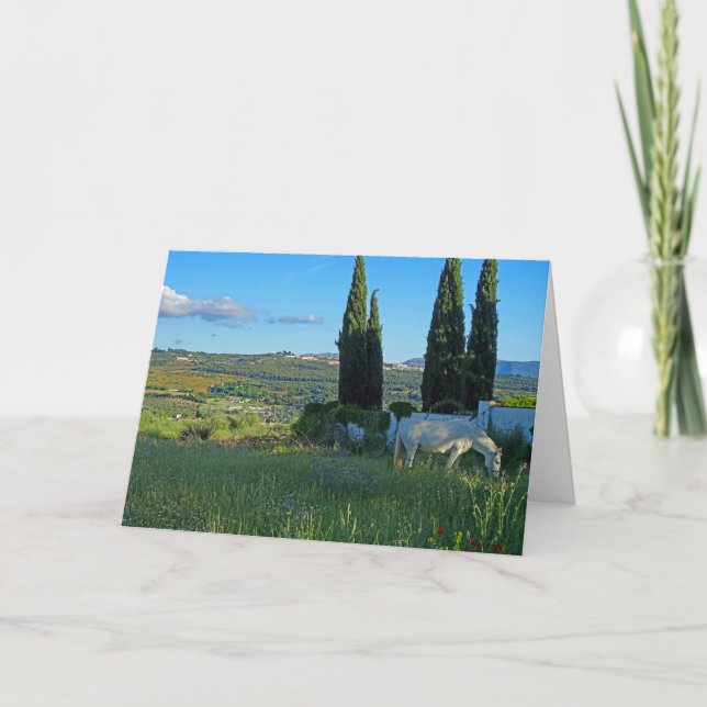 Happy Horse Card (Front)