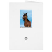 Happy Horse Cards (Back)