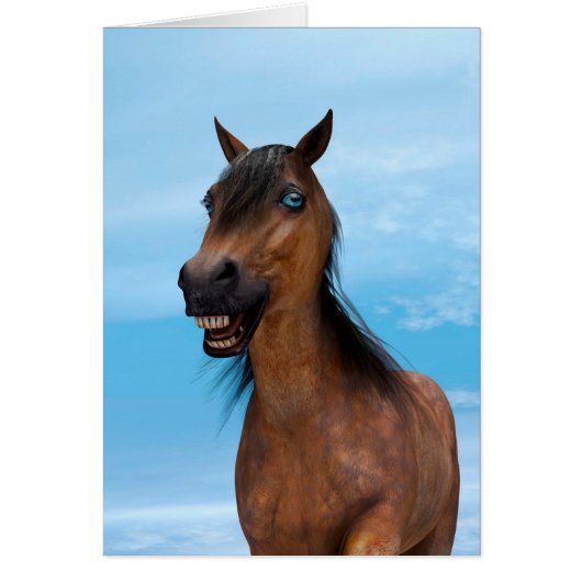 Happy Horse Cards (Front)
