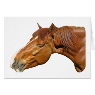 Happy horse cards