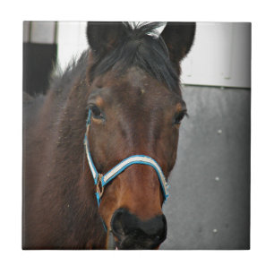 happy horse ceramic tile