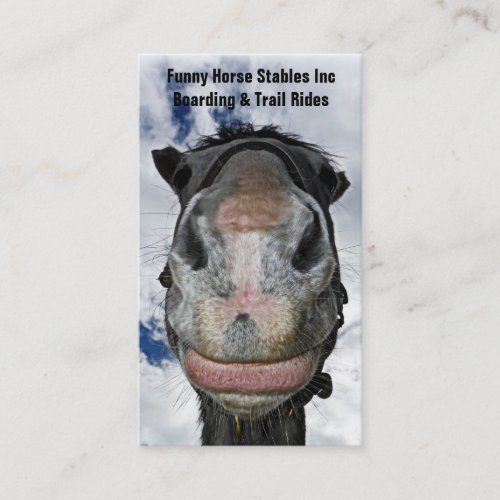 Happy Horse Funny Nosey Horse Smiles Business Card