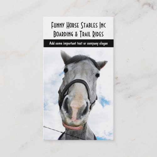 Happy Horse Funny Smiling Horsey Business Card