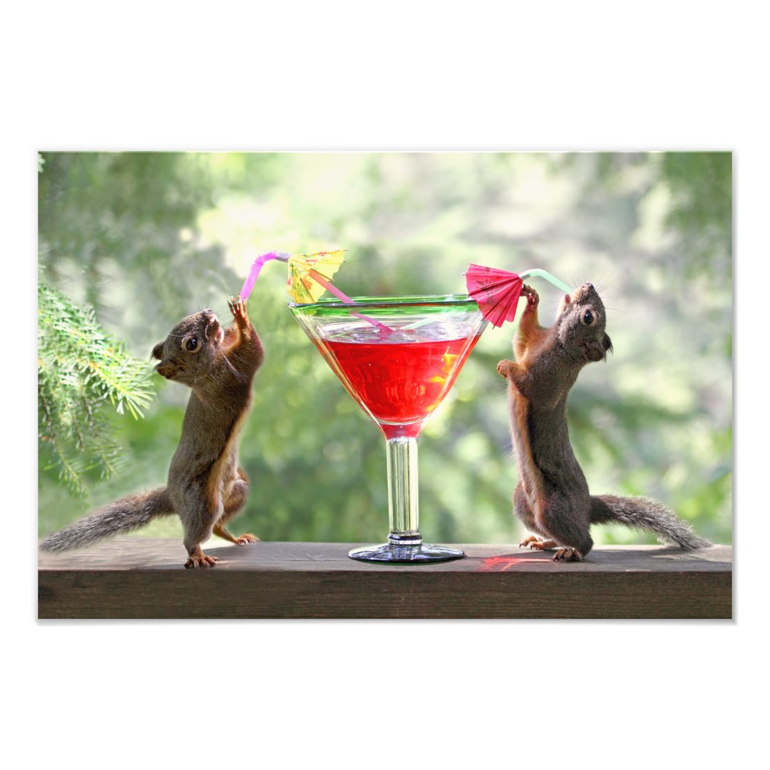 Happy Hour Squirrels Photo Print Zazzle