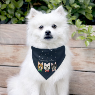 Happy Howl-idays from the crew Pet Bandana Collar
