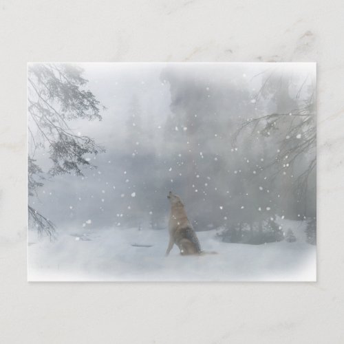 Happy Howlidays Wolf in the Snow Postcard
