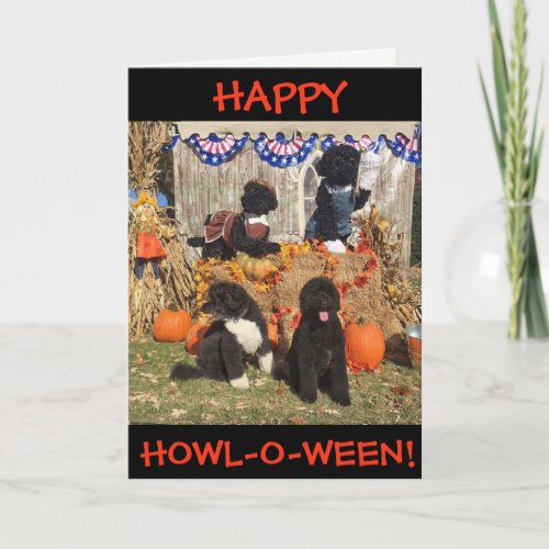 Happy Howl_O_Ween  Bo and Sunny _ Greeting Card