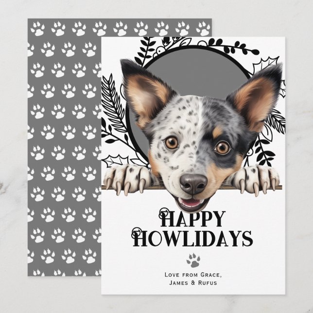 Happy Howlidays Australian Stumpy Dog Christmas  Holiday Card (Front/Back)
