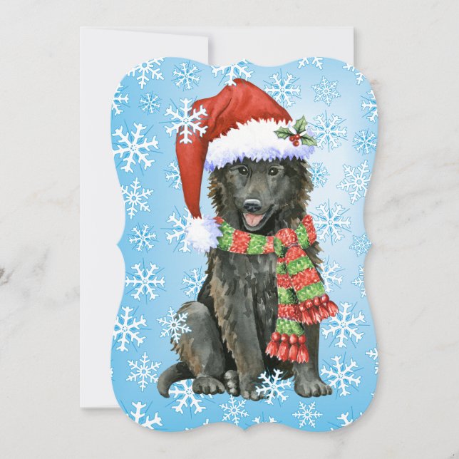 Happy Howlidays Belgian Sheepdog Holiday Card (Front)