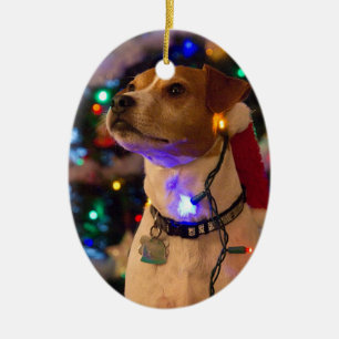 Happy Howlidays! Ceramic Ornament
