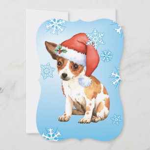 Happy Howlidays Chihuahua Holiday Card