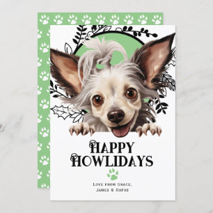 Happy Howlidays Chinese Crested Dog Christmas Holiday Card