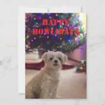 Happy Howlidays Christmas Card