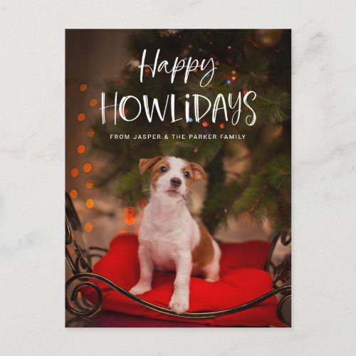 Happy Howlidays  Cute Pet Dog Christmas Photo Holiday Postcard