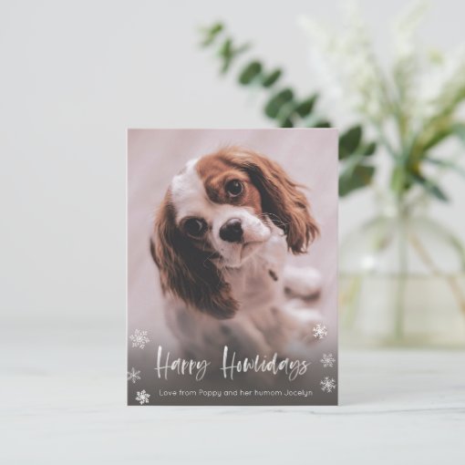 Happy Howlidays Dog Walker Christmas Postcard Zazzle