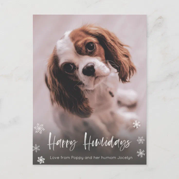 Happy Howlidays Dog Walker Christmas Postcard Zazzle