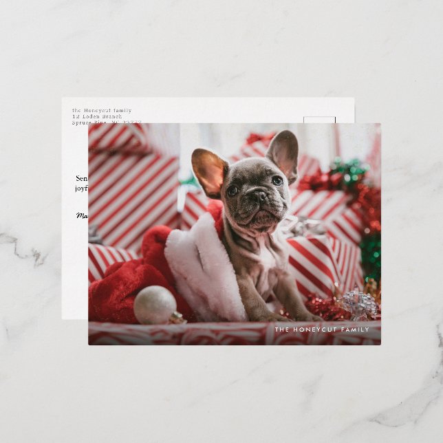 Happy Howlidays Foil Paw Print Dog Holiday (Front/Back)