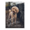 Happy Howlidays Hand-lettered | Pet Dog Photo
