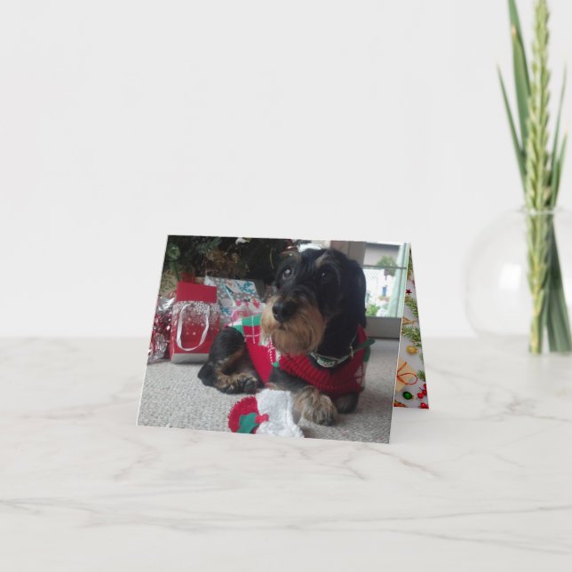 Happy Howlidays Holiday Card (Front)