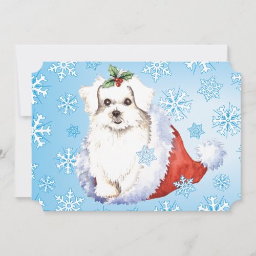 Happy Howlidays Maltese Holiday Card