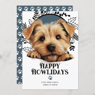 Happy Howlidays Norfolk Terrier Dog Holiday Card