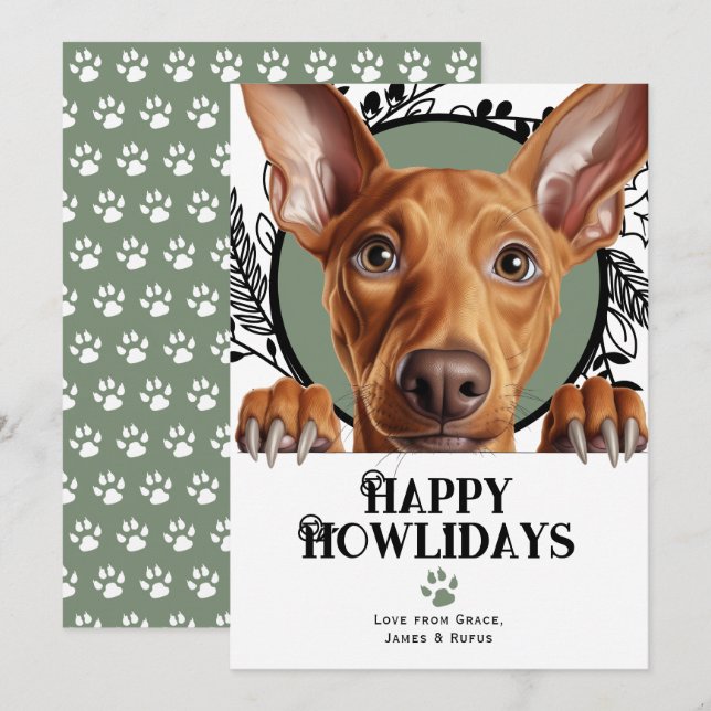 Happy Howlidays Pharaoh Hound Dog Christmas Holiday Card (Front/Back)