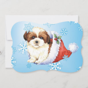 Happy Howlidays Shih Tzu Holiday Card