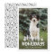 Happy Howlidays White Dog Photo