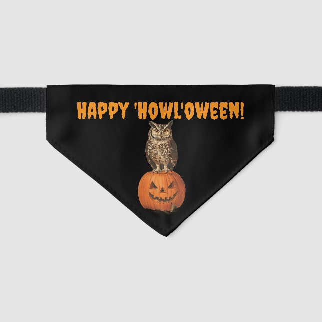 Happy Howloween  Pet Bandana Collar (Front)
