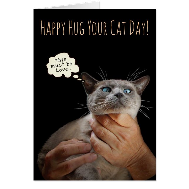 Happy Hug Your Cat Day (customizable) card (Front)