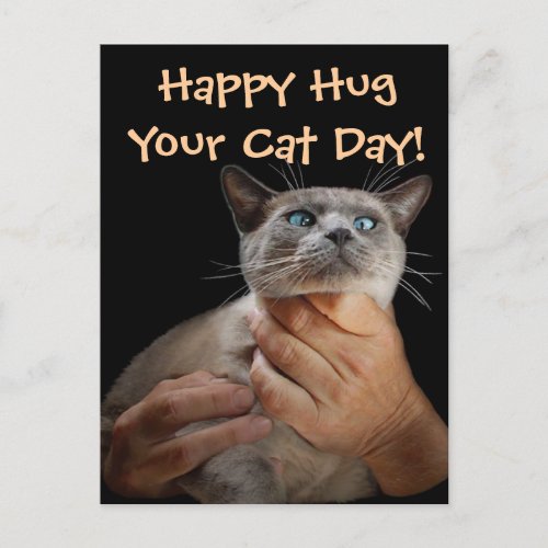 Happy Hug Your Cat Day Postcard