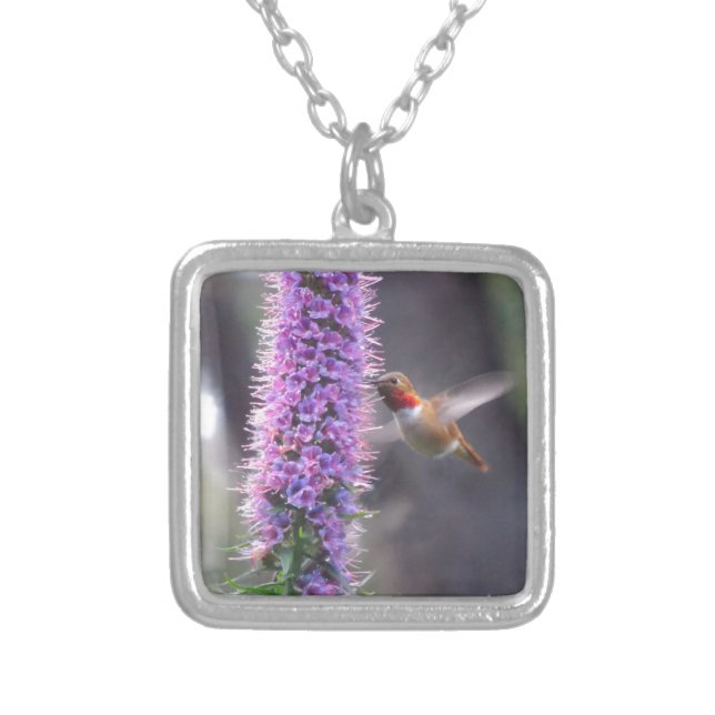 Happy hummingbird silver plated necklace (Front)