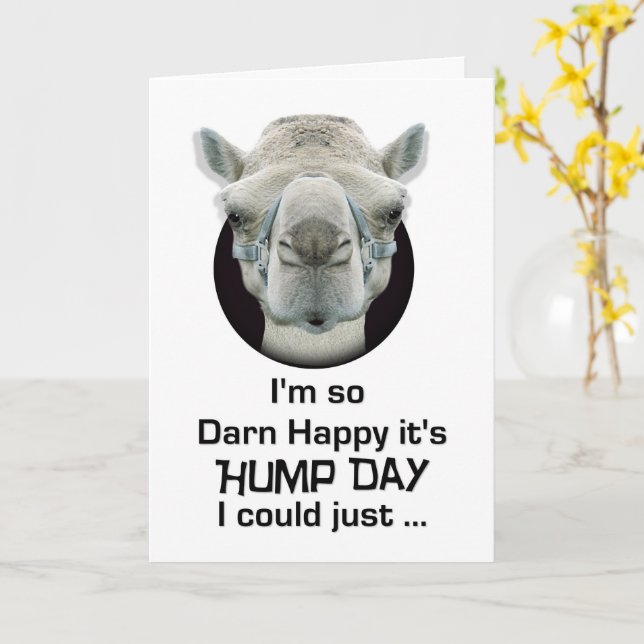happy hump day funny
