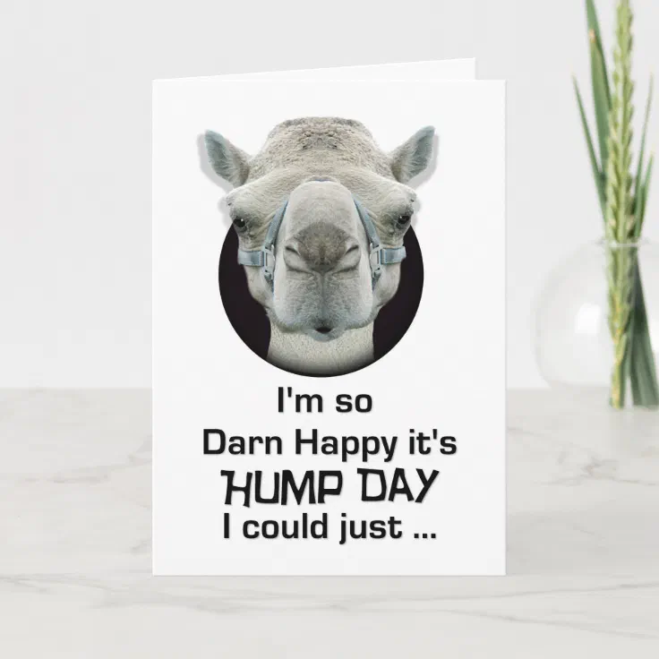 Happy Hump Day Funny Camel Spit Card Zazzle