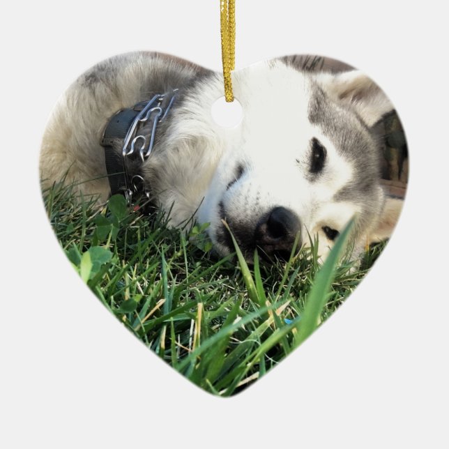 Happy Husky Ceramic Ornament (Front)