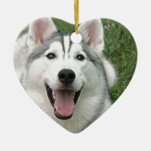 Happy Husky Ceramic Ornament