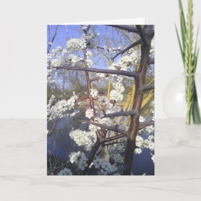 Happy Imbolc (blackthorn blossom) Card (Front)