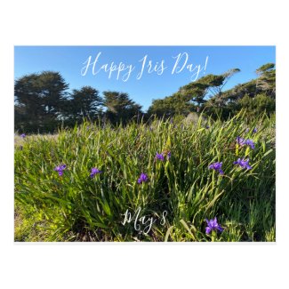 Happy Iris Day! Postcard