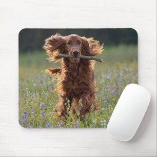 Happy Irish Setter in Wildflower Field Mouse Pad