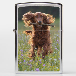 Happy Irish Setter in Wildflower Field Zippo Lighter