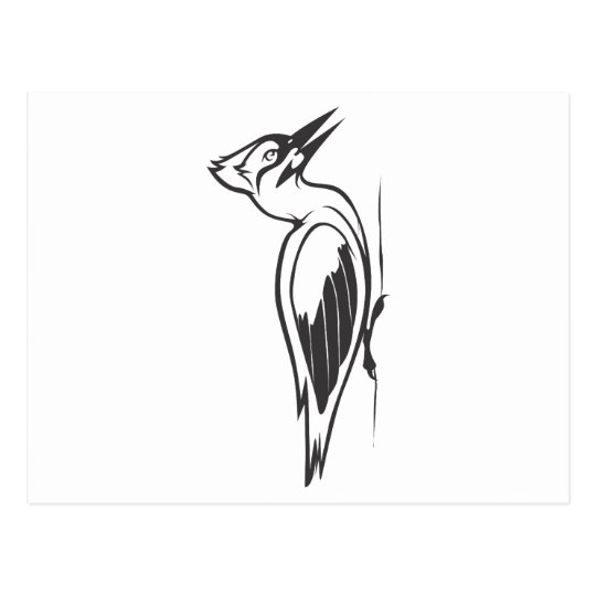 Happy Ivory Billed Woodpecker Bird in Black Postcard