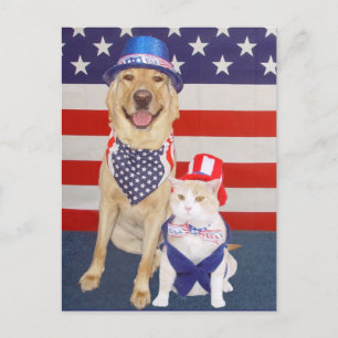 Happy July 4th! Postcard