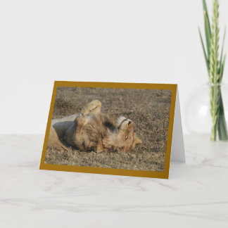 Happy Kitty Card