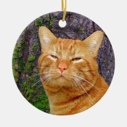 Happy Kitty Kat Ceramic Ornament