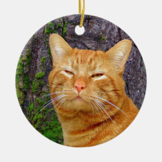Happy Kitty Kat! Ceramic Ornament (Front)