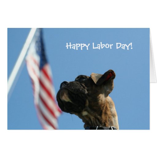 Happy Labor Day Boxer puppy greeting card | Zazzle