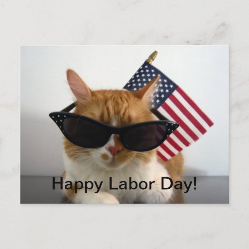 Happy Labor Day Cool Cat with Flag Postcard