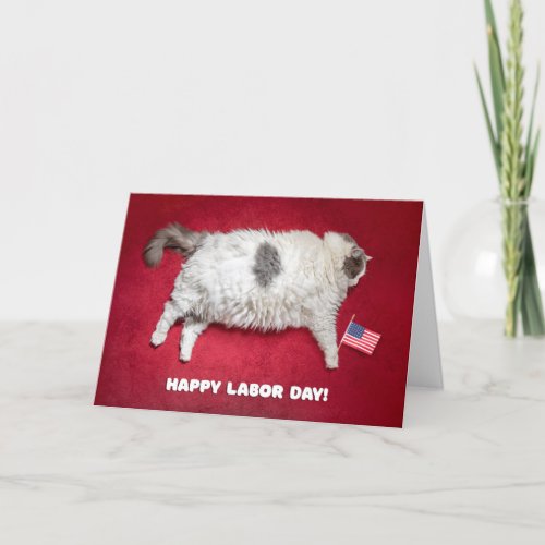 Happy Labor Day Funny Fat Cat Card