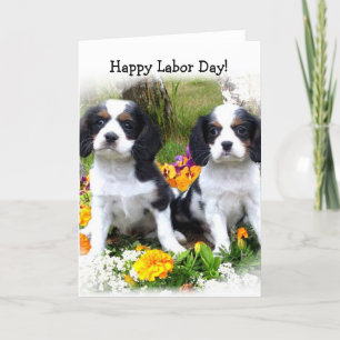 Happy Labor day King Charles Spaniel puppies card